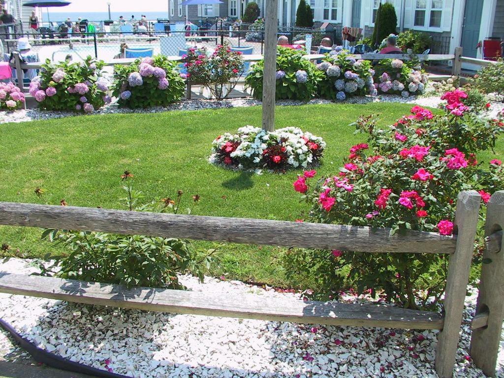 ميناء دينيس The Colony Beach Motel المظهر الخارجي الصورة